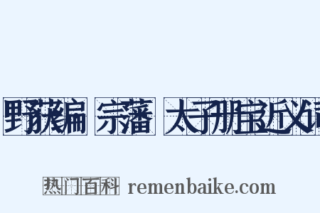 野获编·宗藩·太子册宝近义词是什么意思的图片